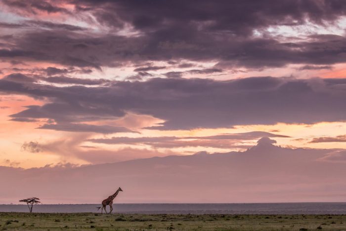 Cedarberg Travel | Solio Lodge