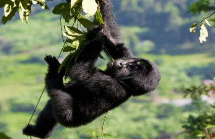 Adventurous Self-drive safari routes in South Africa & Namibia