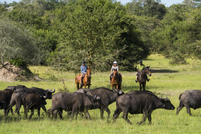 Cedarberg Travel | Mihingo Lodge