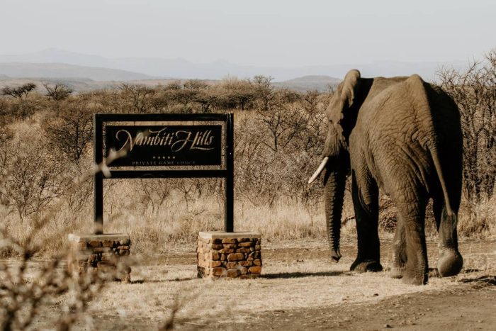 Cedarberg Travel | Nambiti Hills Private Game Lodge