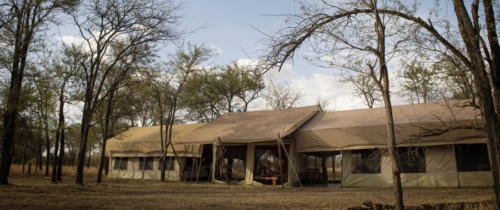 Cedarberg Travel | Alex Walker's Serian - Serengeti Mobile Camp