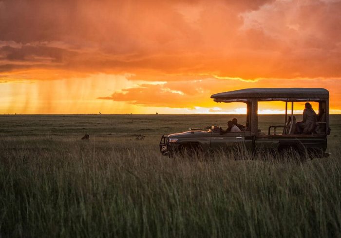 Cedarberg Travel | Mara Plains Camp