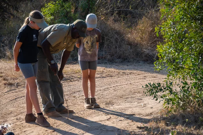 Cedarberg Travel | Inyati Game Lodge