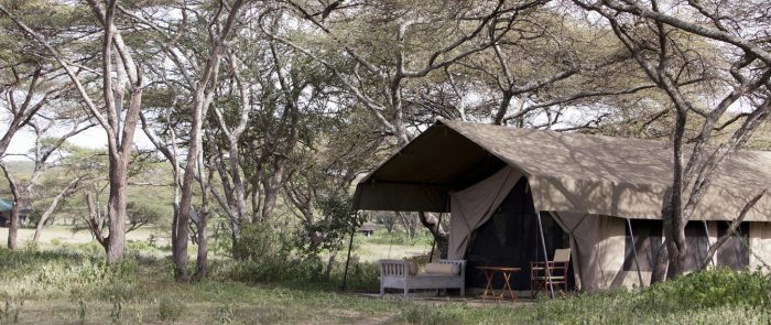 Cedarberg Travel | Alex Walker's Serian - Serengeti South Camp