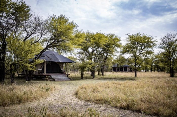 Cedarberg Travel | Alex Walker's Serian - Serengeti North Camp