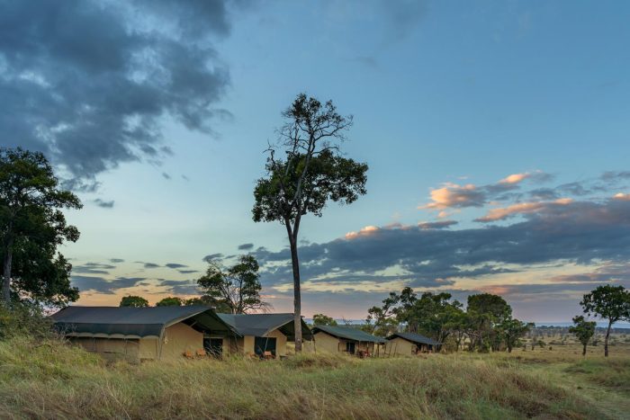 Cedarberg Travel | Lemala Mara Mobile Tented Camp