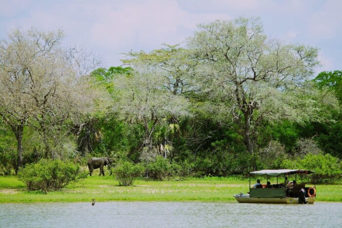 Cedarberg Travel | Rufiji River Camp