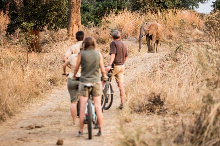 Cedarberg Travel | Tafika Camp