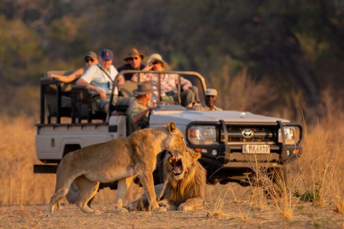 Cedarberg Travel | Tafika Camp