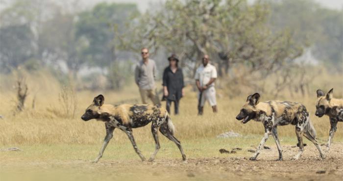 Cedarberg Travel | Footsteps Camp