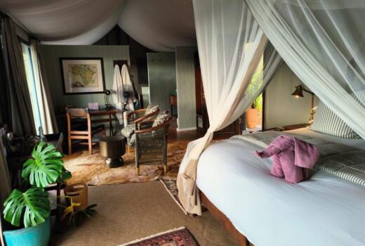 Camp Figtree