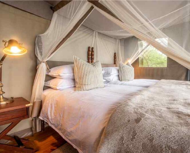 Cedarberg Travel | Camp Figtree