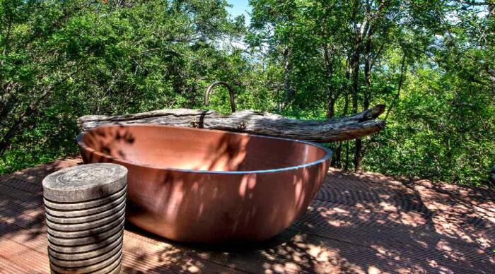 Cedarberg Travel | Camp Figtree
