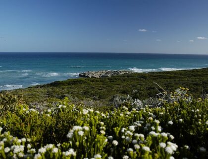 De-Hoop-Nature-Reserve