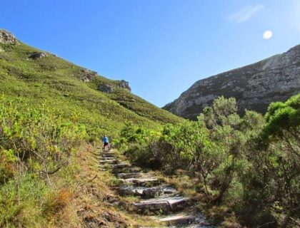 Fernkloof Nature Reserve