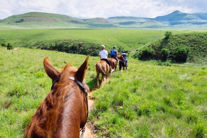 Cedarberg Travel | Montusi Mountain Lodge