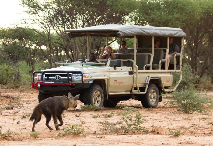 Cedarberg Travel | Okonjima Luxury Bush Lodge