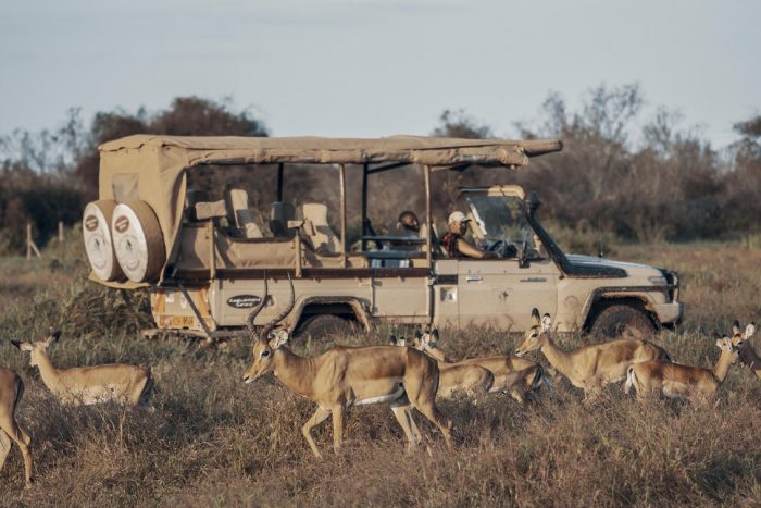 Cedarberg Travel | Porini Amboseli Camp