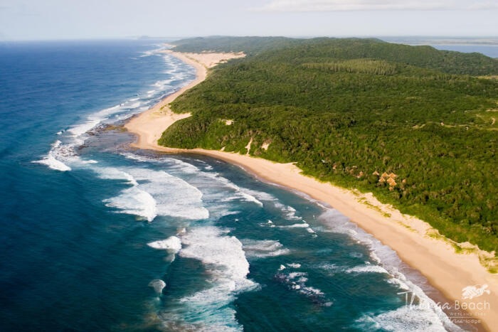 Cedarberg Travel | Thonga Beach Lodge