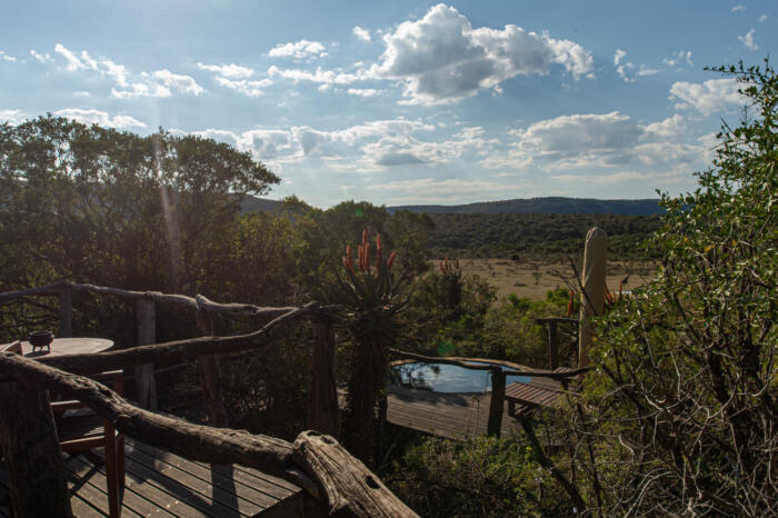 Cedarberg Travel | Pumba Msenge Bush Lodge