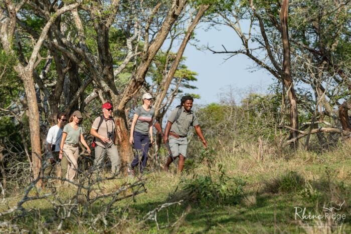 Cedarberg Travel | Rhino Ridge Safari Lodge