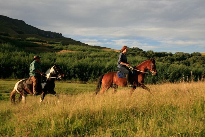 Cedarberg Travel | Cleopatra Mountain Farm House