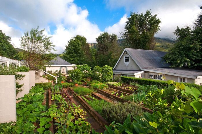 Cedarberg Travel | Cleopatra Mountain Farm House