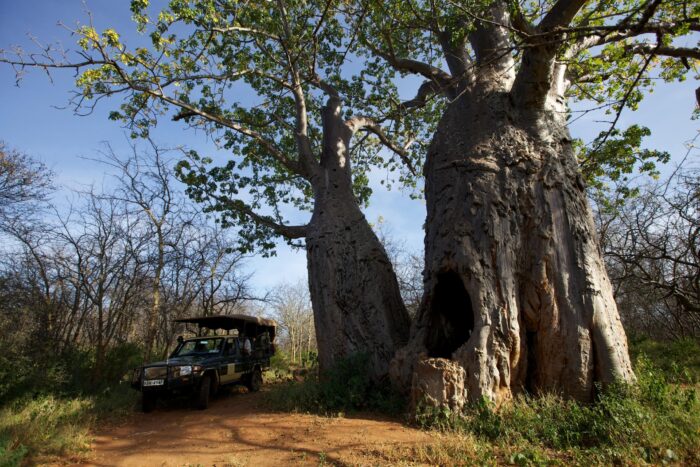 Cedarberg Travel | Elsa's Kopje