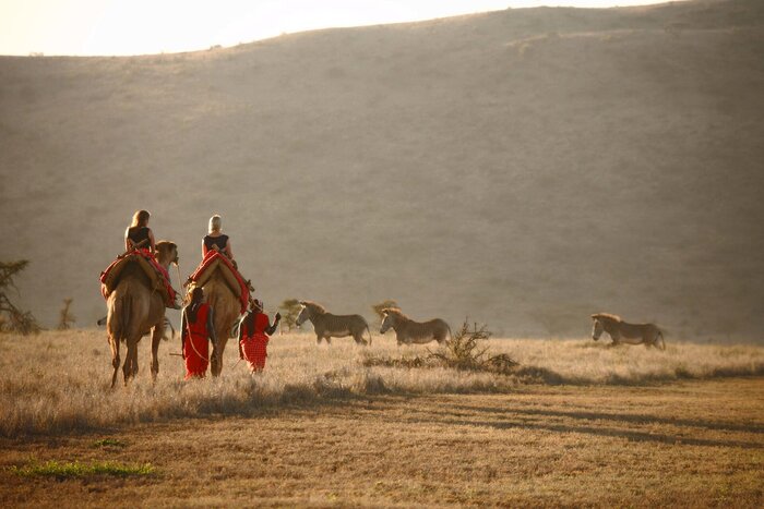 Cedarberg Travel | Elewana Lewa Safari Camp