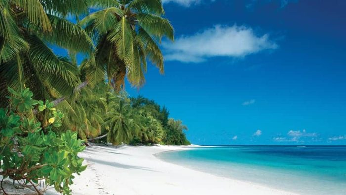 Cedarberg Travel | Four Seasons Desroches Island Resort