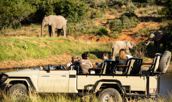 Cedarberg Travel | Lalibela Tree Tops Tented Camp