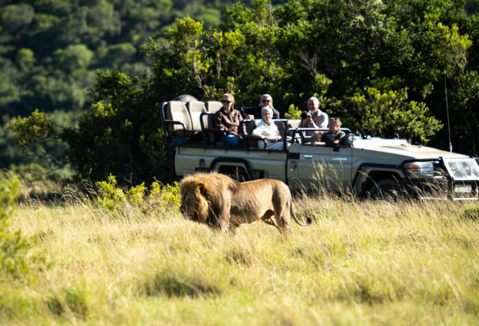 Cedarberg Travel | Lalibela Tree Tops Tented Camp