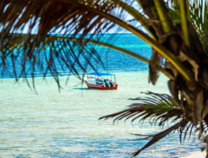 Kenya beach holidays at Diani Beach