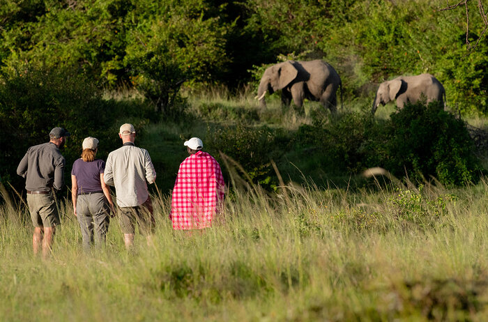 Cedarberg Travel | Kicheche Valley