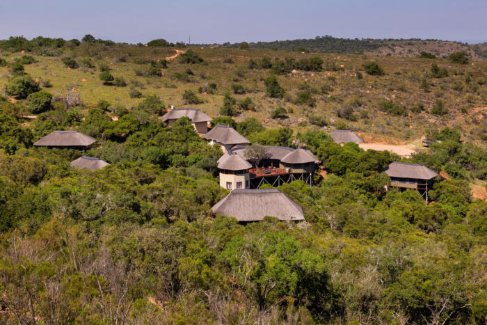 Cedarberg Travel | Lalibela Tree Tops Tented Camp