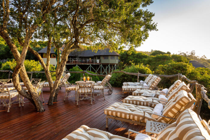 Cedarberg Travel | Lalibela Tree Tops Tented Camp