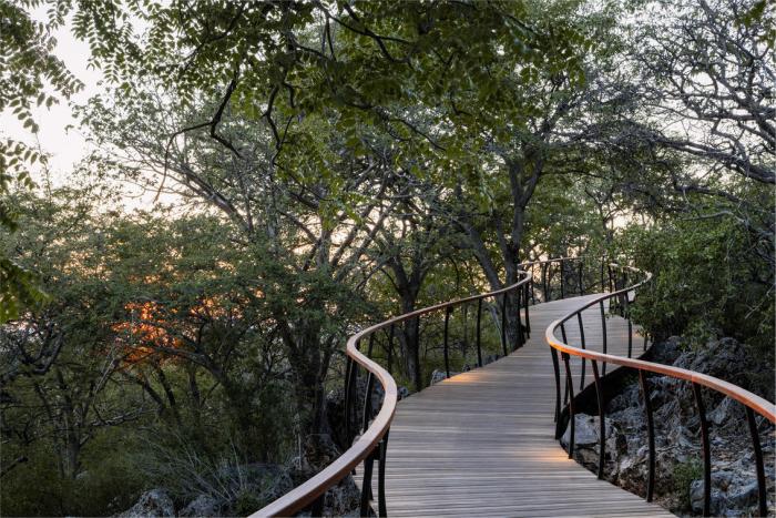 Cedarberg Travel | Little Ongava