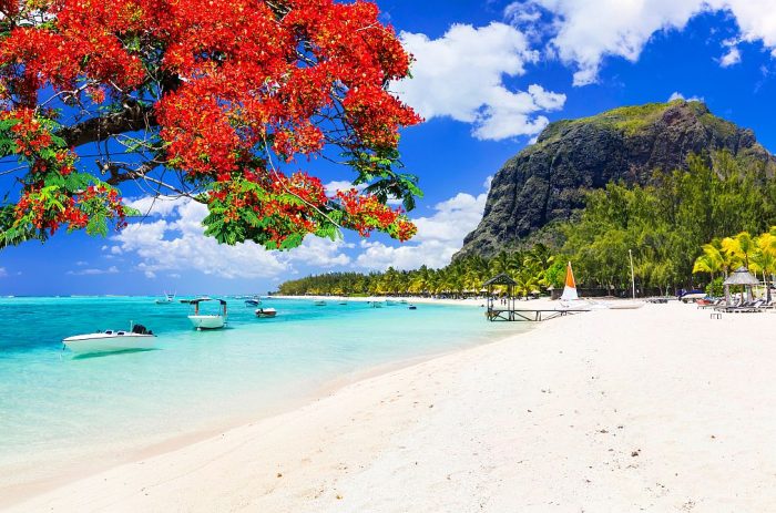 Cedarberg Travel | LUX Le Morne Hotel