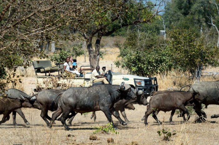 Cedarberg Travel | Nkwali Camp