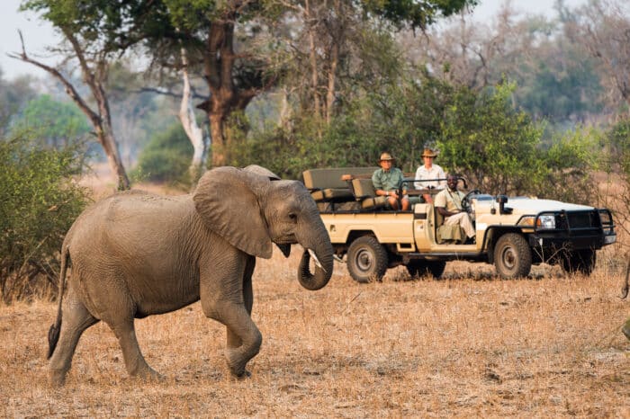 Cedarberg Travel | Nsefu Camp