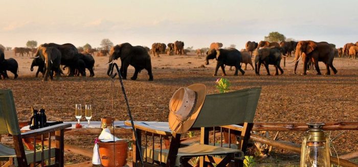 Cedarberg Travel | Satao Camp