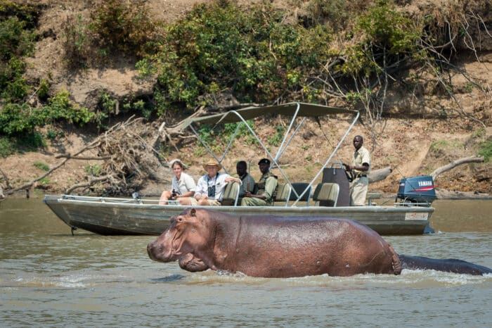 Cedarberg Travel | Nsefu Camp