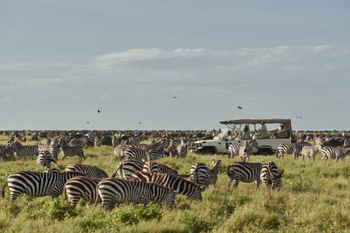 Cedarberg Travel | Sanctuary Kusini Camp