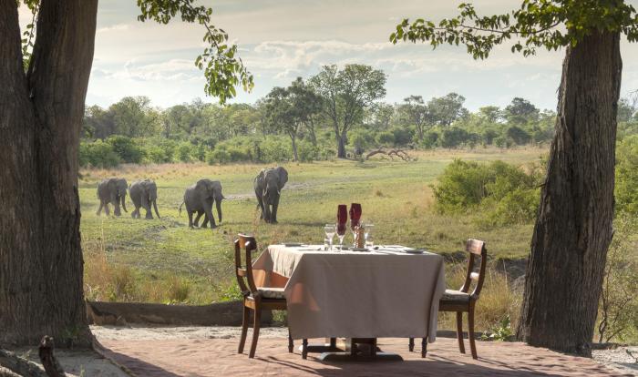 Cedarberg Travel | Selinda Explorers Camp