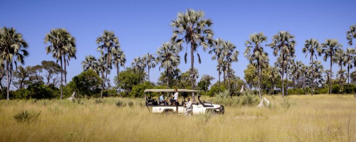 Cedarberg Travel | Ultimate Botswana Family Safari