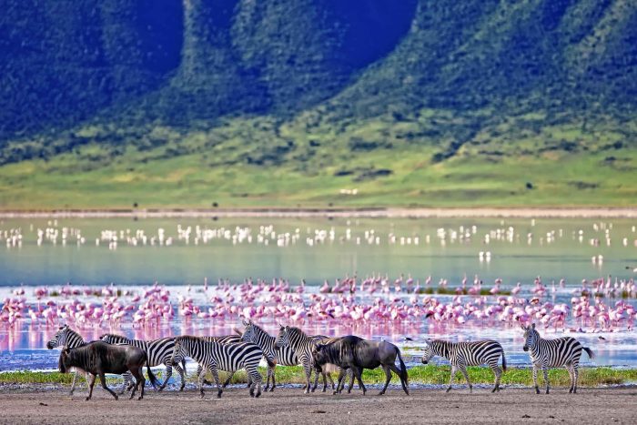 Cedarberg Travel | Sky Safari in East Africa