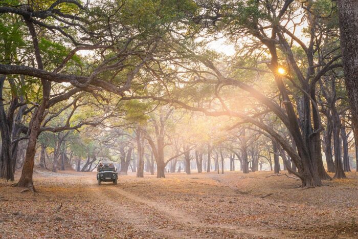 Cedarberg Travel | Mchenja Bush Camp