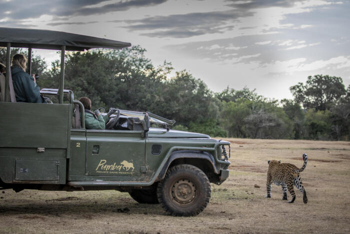 Cedarberg Travel | Pumba Msenge Bush Lodge