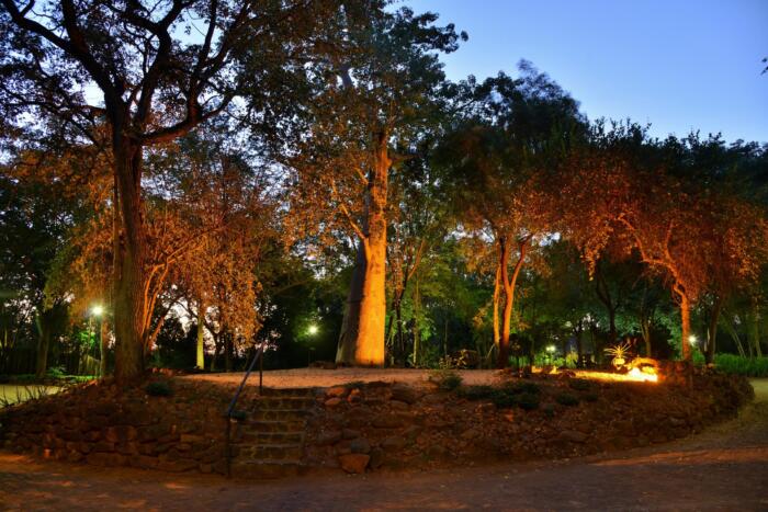 Cedarberg Travel | Victoria Falls Safari Lodge
