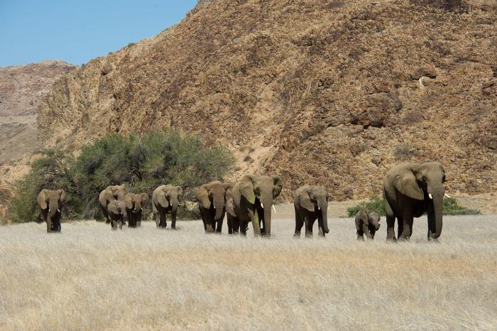 Cedarberg Travel | Wilderness Doro Nawas